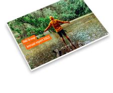 ing annual report.